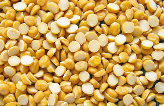 Exporter of Chana Daal manufacturer in India Maharashtra