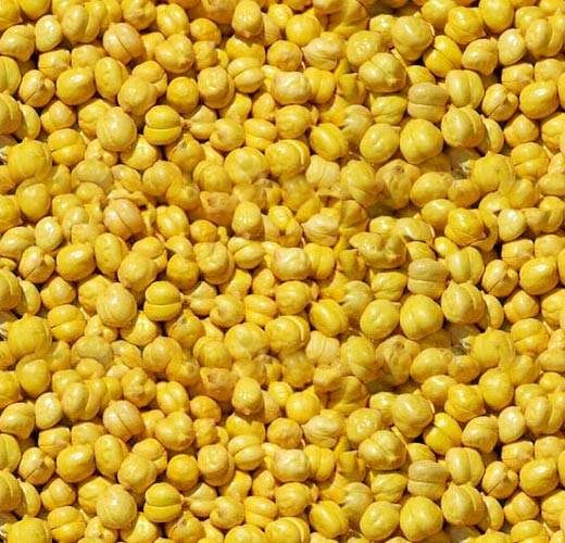 Manufacturer of primium quality roasted peas chana Bengal gram